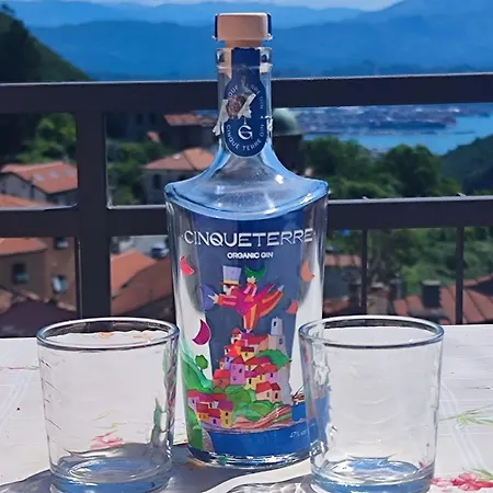 Belvedere