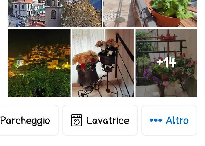 بيت للعطل Belvedere